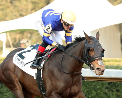 NERAZURRI - 022726 - Race 08 - The Trivista Overnight Stakes - OP - Finish 04 - Coady Media - Kurtis Coady Photography