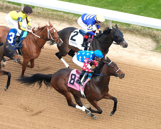 NERAZURRI - 022726 - Race 08 - The Trivista Overnight Stakes - OP - First Pass 01 - Coady Media - Kurtis Coady Photography