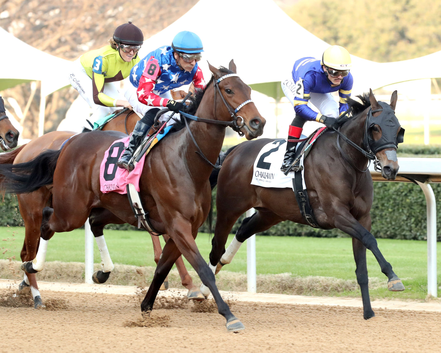NERAZURRI - 022726 - Race 08 - The Trivista Overnight Stakes - OP - First Pass 02 - Coady Media - Kurtis Coady Photography
