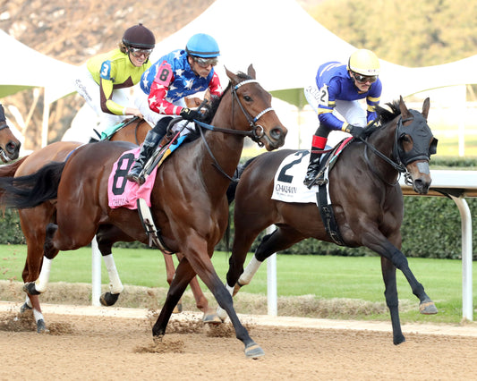 NERAZURRI - 022726 - Race 08 - The Trivista Overnight Stakes - OP - First Pass 02 - Coady Media - Kurtis Coady Photography