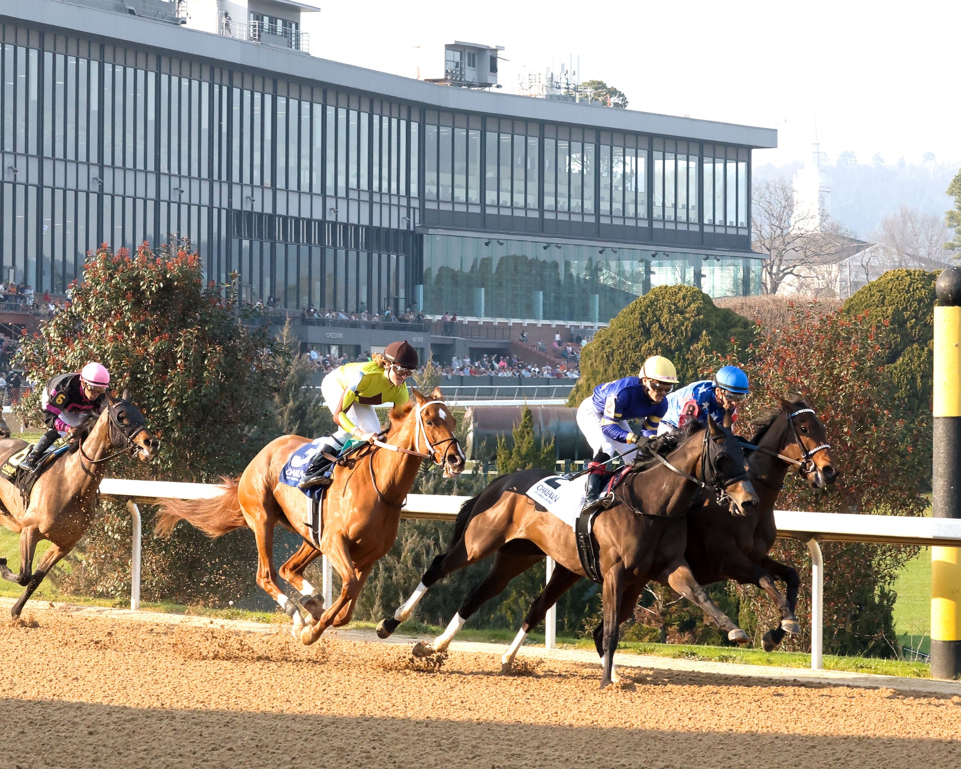 NERAZURRI - 022726 - Race 08 - The Trivista Overnight Stakes - OP - First Turn 01 - Coady Media - Kurtis Coady Photography