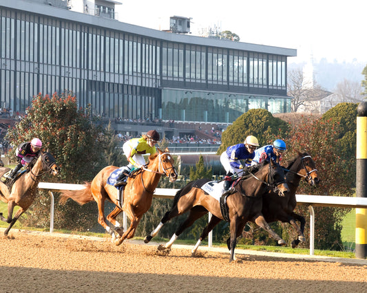 NERAZURRI - 022726 - Race 08 - The Trivista Overnight Stakes - OP - First Turn 01 - Coady Media - Kurtis Coady Photography