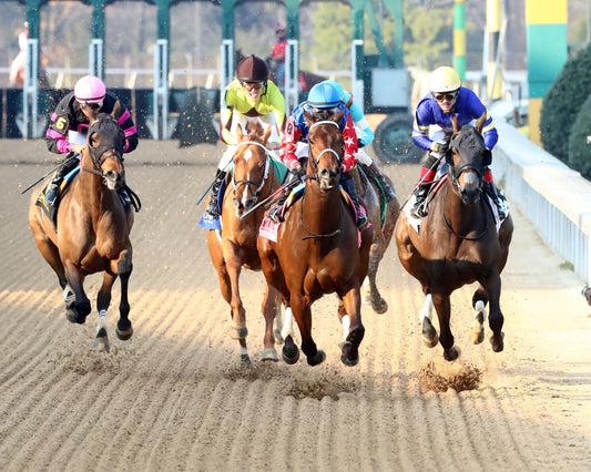 NERAZURRI - 022726 - Race 08 - The Trivista Overnight Stakes - OP - First Turn 03 - Coady Media - Kurtis Coady Photography
