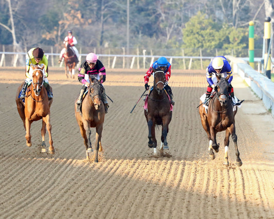 NERAZURRI - 022726 - Race 08 - The Trivista Overnight Stakes - OP - Head On 01 - Coady Media - Kurtis Coady Photography