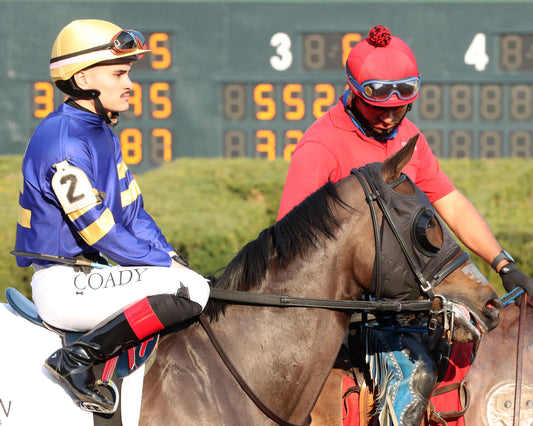 NERAZURRI - 022726 - Race 08 - The Trivista Overnight Stakes - OP - Post Parade 04 - Coady Media - Kurtis Coady Photography