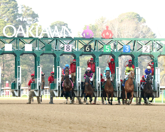 NERAZURRI - 022726 - Race 08 - The Trivista Overnight Stakes - OP - Start 01 - Coady Media - Kurtis Coady Photography