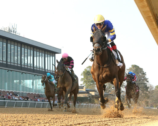 NERAZURRI - 022726 - Race 08 - The Trivista Overnight Stakes - OP - Under Rail 01 - Coady Media - Kurtis Coady Photography