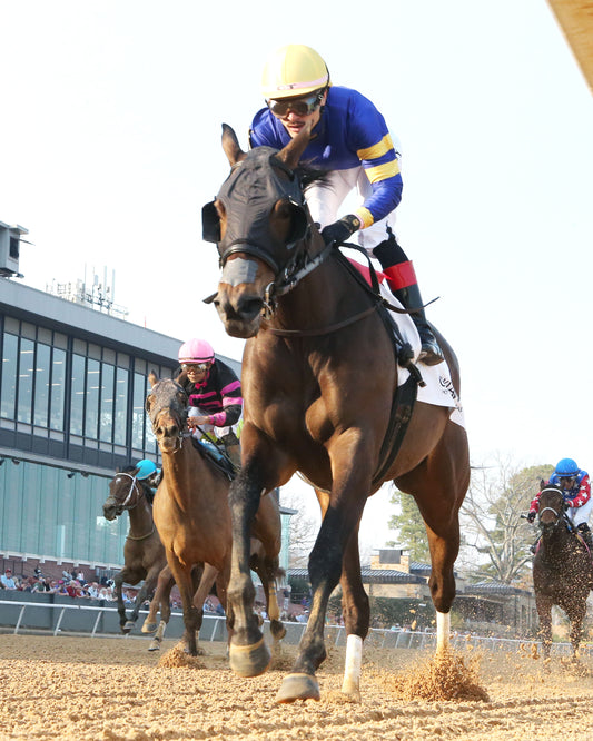 NERAZURRI - 022726 - Race 08 - The Trivista Overnight Stakes - OP - Under Rail 02 - Coady Media - Kurtis Coady Photography