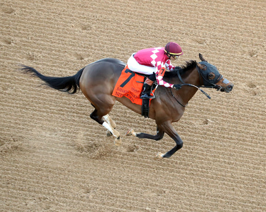 NITROGEN - The Bayakoa Stakes G3 - 02-07-26 - R09 - OP - Aerial Finish 01 - Coady Media - Kurtis Coady Photography