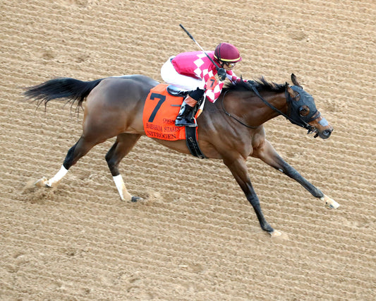 NITROGEN - The Bayakoa Stakes G3 - 02-07-26 - R09 - OP - Aerial Finish 02 - Coady Media - Kurtis Coady Photography