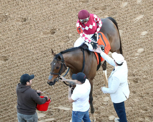 NITROGEN - The Bayakoa Stakes G3 - 02-07-26 - R09 - OP - Come Back 01 - Coady Media - Kurtis Coady Photography