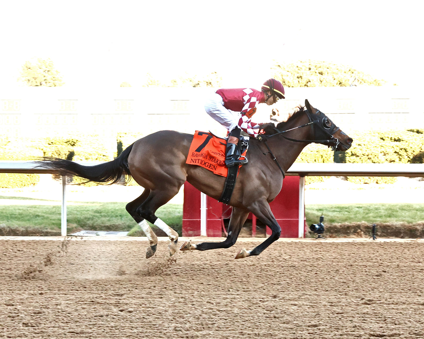 NITROGEN - The Bayakoa Stakes G3 - 02-07-26 - R09 - OP - Finish 01 - Coady Media - Kurtis Coady Photography