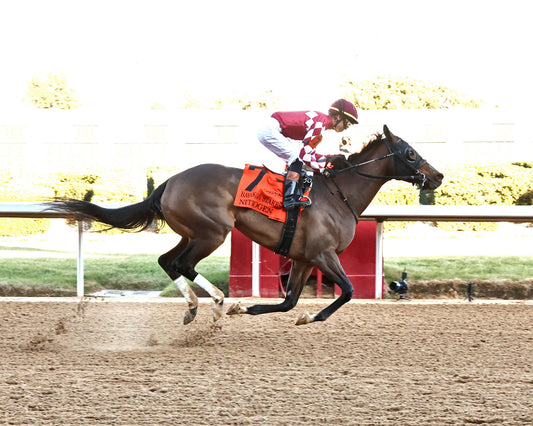 NITROGEN - The Bayakoa Stakes G3 - 02-07-26 - R09 - OP - Finish 01 - Coady Media - Kurtis Coady Photography