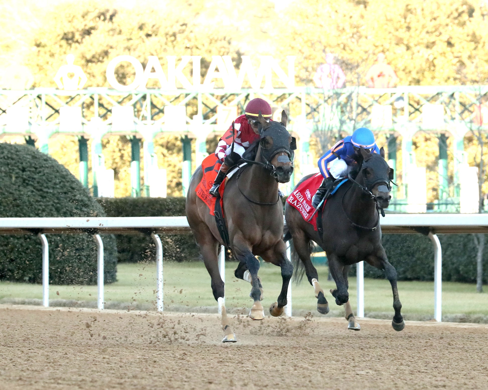 NITROGEN - The Bayakoa Stakes G3 - 02-07-26 - R09 - OP - Finish 02 - Coady Media - Kurtis Coady Photography