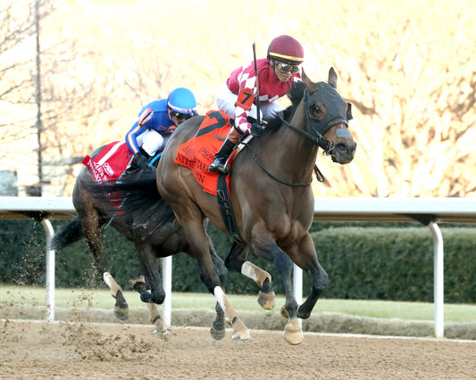 NITROGEN - The Bayakoa Stakes G3 - 02-07-26 - R09 - OP - Finish 03 - Coady Media - Kurtis Coady Photography
