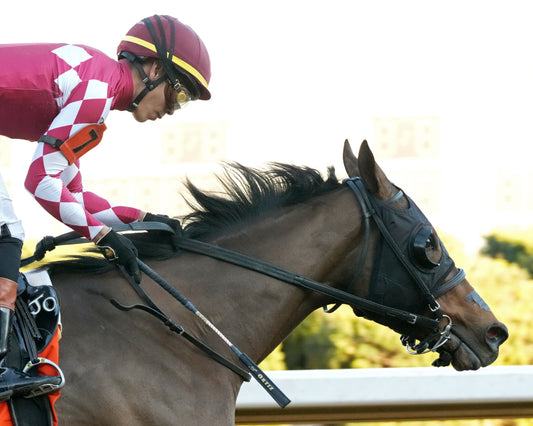 NITROGEN - The Bayakoa Stakes G3 - 02-07-26 - R09 - OP - Finish 05 - Coady Media - Kurtis Coady Photography