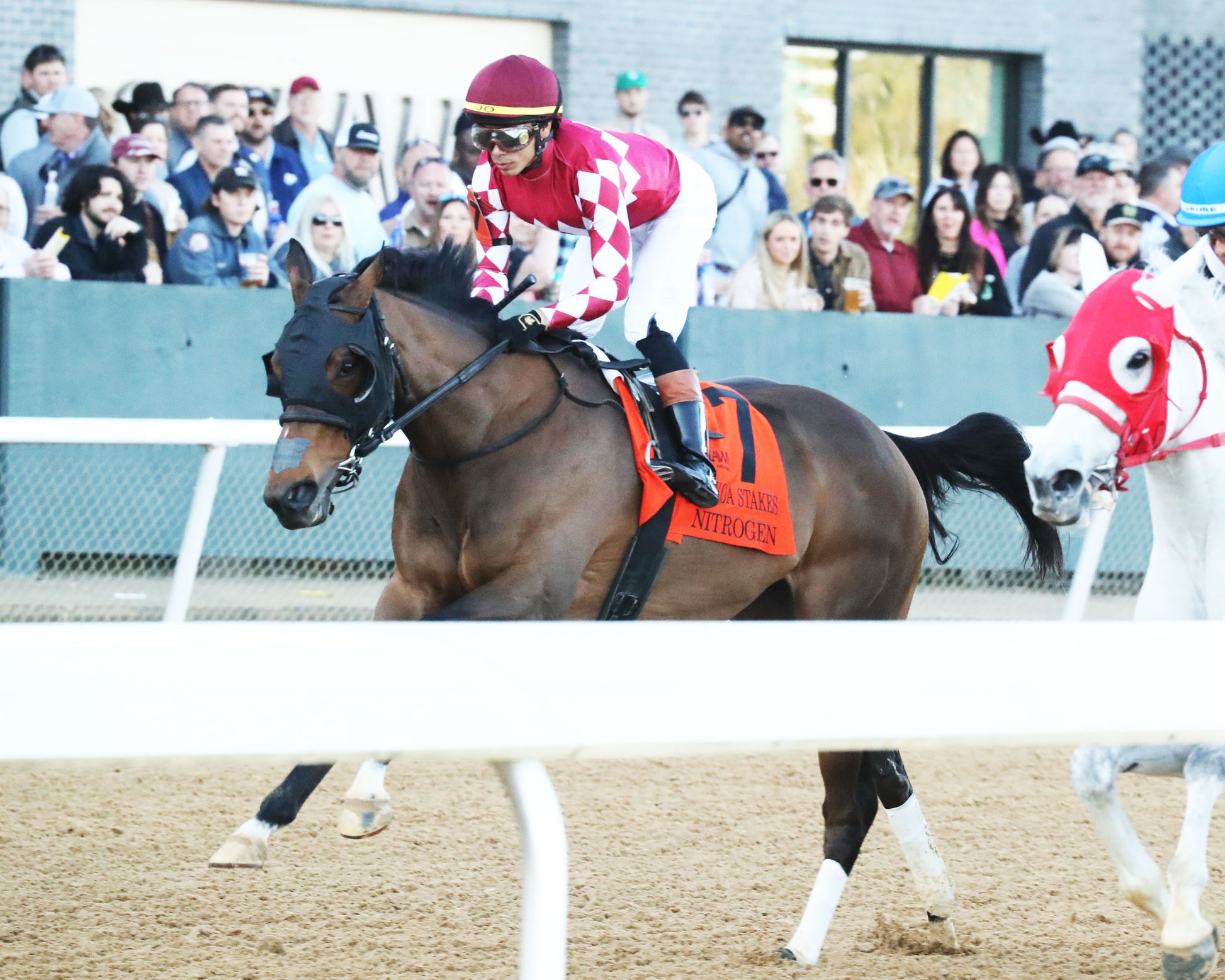 NITROGEN - The Bayakoa Stakes G3 - 02-07-26 - R09 - OP - First Pass 01 - Coady Media - Kurtis Coady Photography