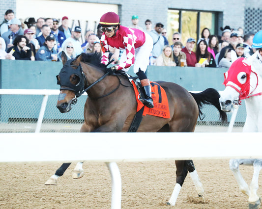 NITROGEN - The Bayakoa Stakes G3 - 02-07-26 - R09 - OP - First Pass 01 - Coady Media - Kurtis Coady Photography