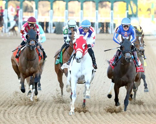 NITROGEN - The Bayakoa Stakes G3 - 02-07-26 - R09 - OP - First Turn 01 - Coady Media - Kurtis Coady Photography