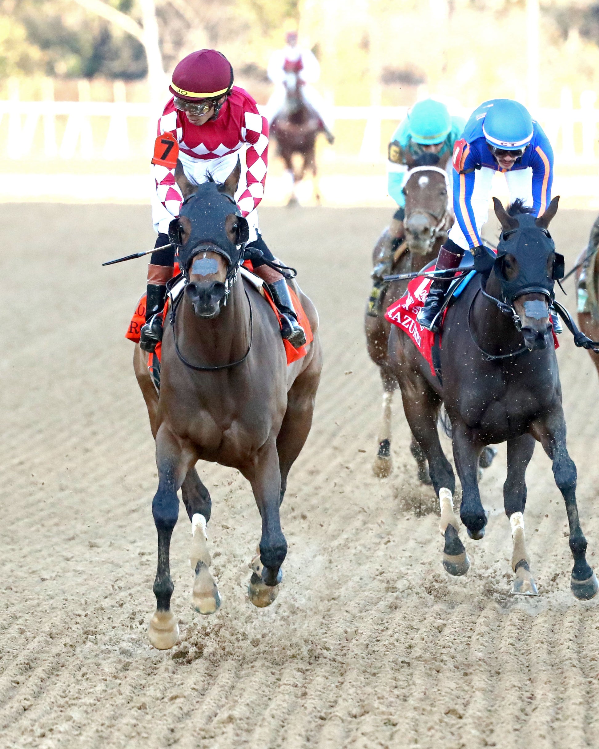 NITROGEN - The Bayakoa Stakes G3 - 02-07-26 - R09 - OP - Gallop Out 01 - Coady Media - Kurtis Coady Photography