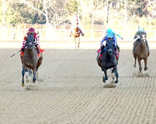 NITROGEN - The Bayakoa Stakes G3 - 02-07-26 - R09 - OP - Head On 01 - Coady Media - Kurtis Coady Photography