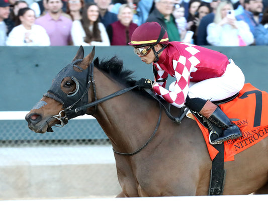 NITROGEN - The Bayakoa Stakes G3 - 02-07-26 - R09 - OP - Inside Finish 01 - Coady Media - Kurtis Coady Photography