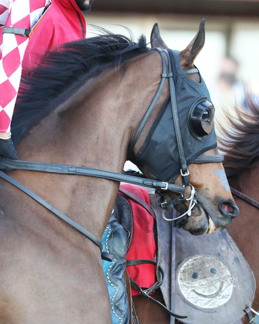 NITROGEN - The Bayakoa Stakes G3 - 02-07-26 - R09 - OP - Post Parade 01 - Coady Media - Kurtis Coady Photography