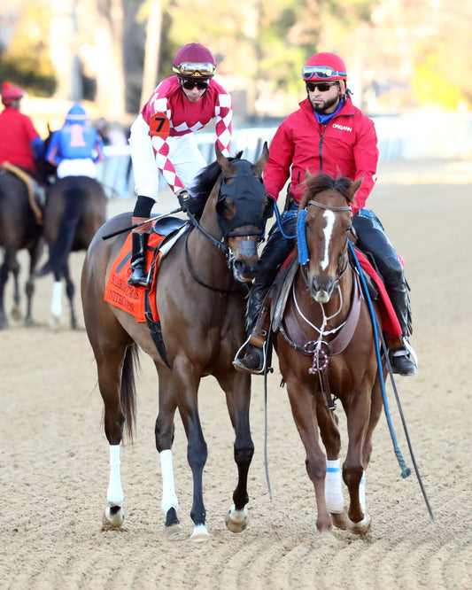 NITROGEN - The Bayakoa Stakes G3 - 02-07-26 - R09 - OP - Post Parade 02 - Coady Media - Kurtis Coady Photography
