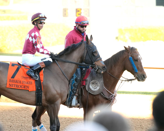 NITROGEN - The Bayakoa Stakes G3 - 02-07-26 - R09 - OP - Post Parade 03 - Coady Media - Kurtis Coady Photography