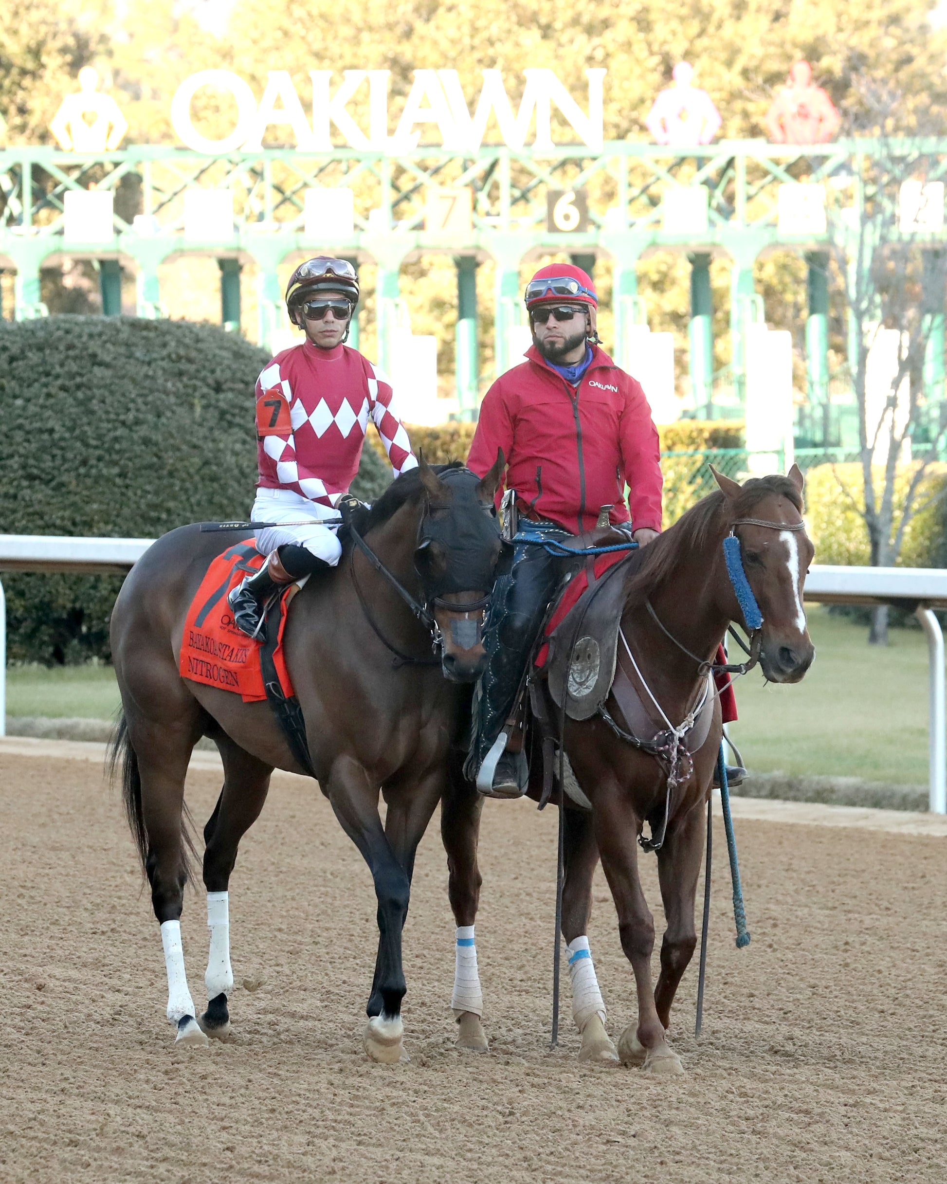 NITROGEN - The Bayakoa Stakes G3 - 02-07-26 - R09 - OP - Post Parade 04 - Coady Media - Kurtis Coady Photography