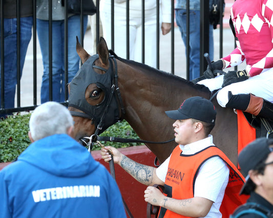 NITROGEN - The Bayakoa Stakes G3 - 02-07-26 - R09 - OP - Post Parade 05 - Coady Media - Kurtis Coady Photography