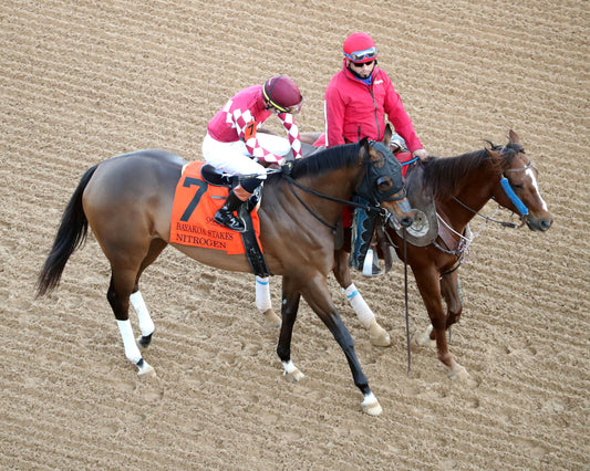 NITROGEN - The Bayakoa Stakes G3 - 02-07-26 - R09 - OP - Post Parade 07 - Coady Media - Kurtis Coady Photography
