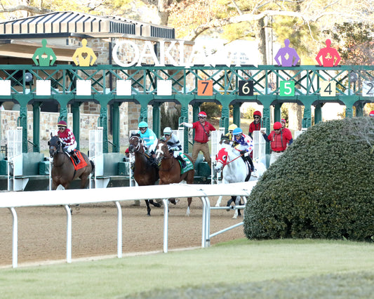 NITROGEN - The Bayakoa Stakes G3 - 02-07-26 - R09 - OP - Start 02 - Coady Media - Kurtis Coady Photography