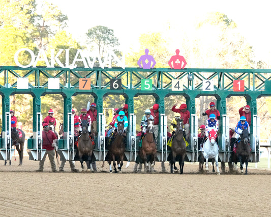 NITROGEN - The Bayakoa Stakes G3 - 02-07-26 - R09 - OP - Start 03 - Coady Media - Kurtis Coady Photography