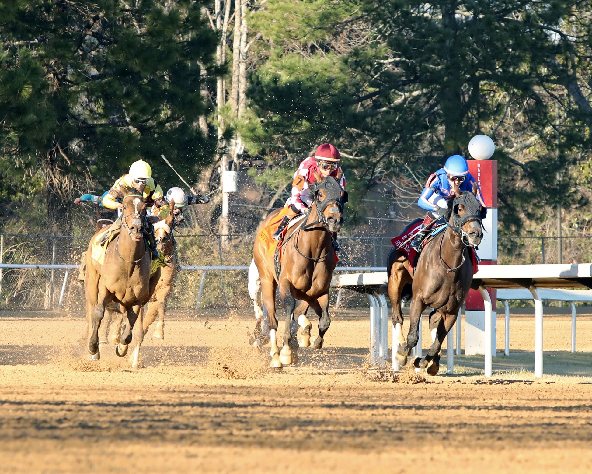 NITROGEN - The Bayakoa Stakes G3 - 02-07-26 - R09 - OP - Turn 01 - Coady Media - Kurtis Coady Photography