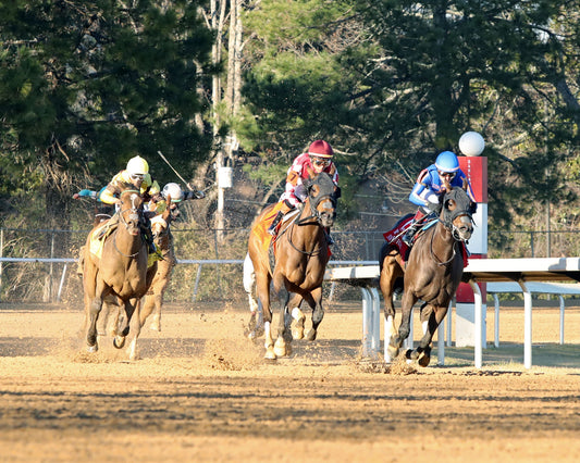 NITROGEN - The Bayakoa Stakes G3 - 02-07-26 - R09 - OP - Turn 01 - Coady Media - Kurtis Coady Photography