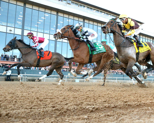 NITROGEN - The Bayakoa Stakes G3 - 02-07-26 - R09 - OP - Under Rail - First Pass 01 - Coady Media - Kurtis Coady Photography
