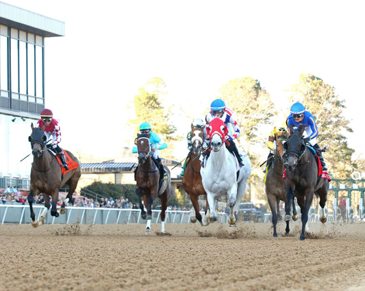 NITROGEN - The Bayakoa Stakes G3 - 02-07-26 - R09 - OP - Under Rail - First Pass 02 - Coady Media - Kurtis Coady Photography