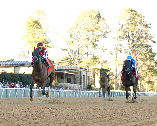 NITROGEN - The Bayakoa Stakes G3 - 02-07-26 - R09 - OP - Under Rail 01 - Coady Media - Kurtis Coady Photography