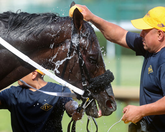 NU WHATS' NEW - 062826 - Race 10 - CD - Bath 01