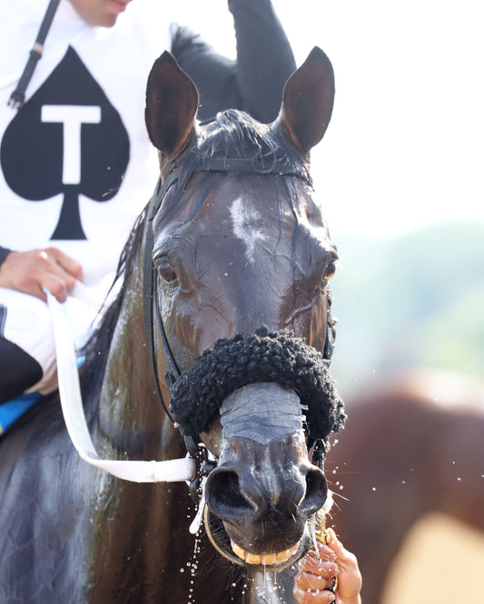 NU WHATS' NEW - 062826 - Race 10 - CD - Come Back 01