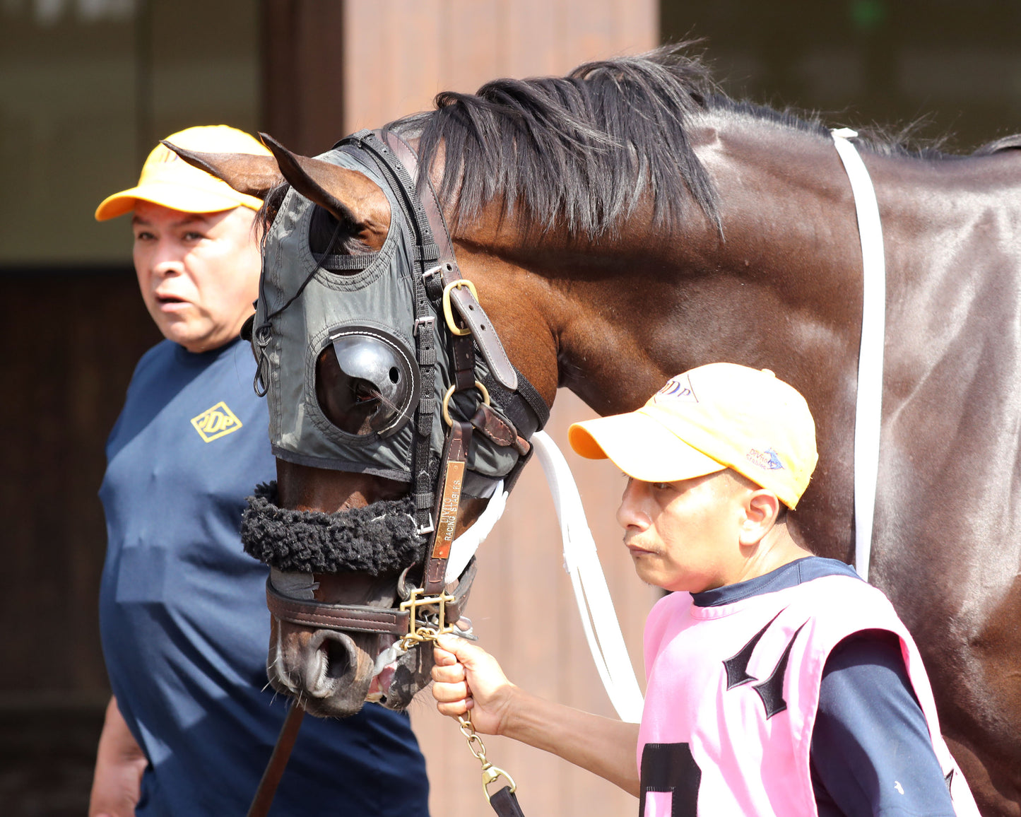 NU WHATS' NEW - 062826 - Race 10 - CD - Paddock 01