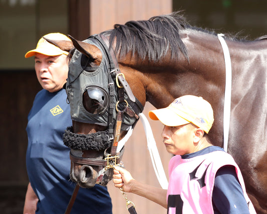 NU WHATS' NEW - 062826 - Race 10 - CD - Paddock 01