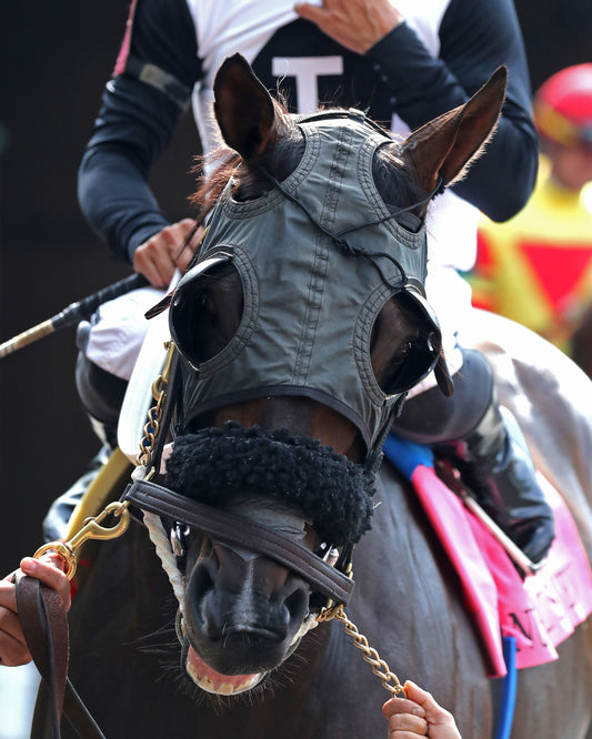 NU WHATS' NEW - 062826 - Race 10 - CD - Paddock 02
