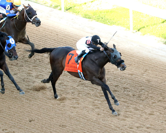 NU WHAT'S NEW - The Oaklawn Mile Stakes G3 - 03-28-26 - R11 - OP - Aerial Finish 01 - Coady Media - Kurtis Coady Photography