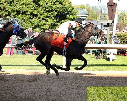 NU WHAT'S NEW - The Oaklawn Mile Stakes G3 - 03-28-26 - R11 - OP - Finish 01 - Coady Media - Kurtis Coady Photography