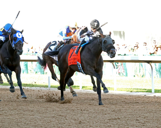 NU WHAT'S NEW - The Oaklawn Mile Stakes G3 - 03-28-26 - R11 - OP - Finish 02 - Coady Media - Kurtis Coady Photography