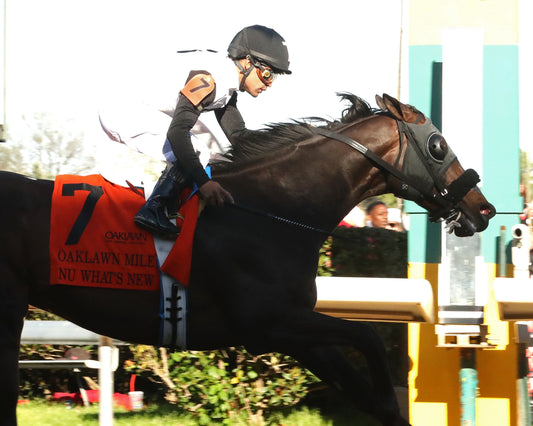 NU WHAT'S NEW - The Oaklawn Mile Stakes G3 - 03-28-26 - R11 - OP - Finish 03 - Coady Media - Kurtis Coady Photography