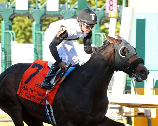 NU WHAT'S NEW - The Oaklawn Mile Stakes G3 - 03-28-26 - R11 - OP - Finish 04 - Coady Media - Kurtis Coady Photography