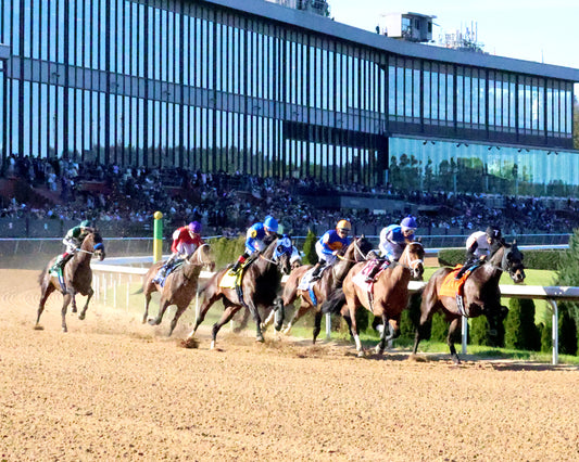 NU WHAT'S NEW - The Oaklawn Mile Stakes G3 - 03-28-26 - R11 - OP - First Turn 01 - Coady Media - Kurtis Coady Photography